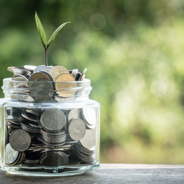 Coins in a jar on a table with a small plant.