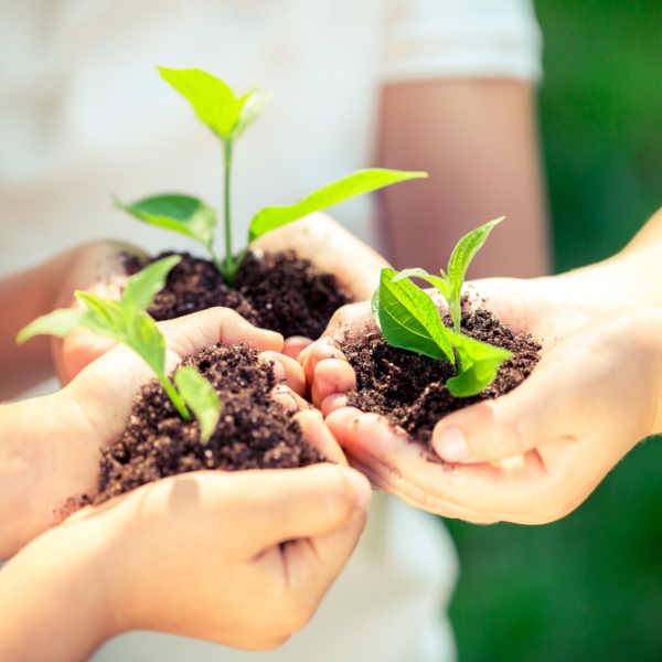 Image of three people holding dirt in their hards with sprouting plants in the dirt