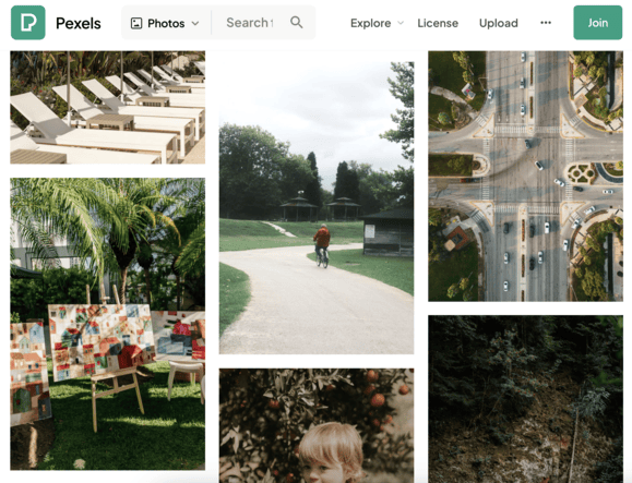 A screenshot from Pexels, one of our helpful websites for social media managers.